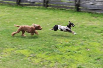 IMG_7109_convert_20130601215414.jpg