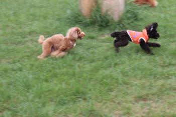 IMG_7121_convert_20130601215506.jpg