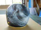 DSCN0268.jpg