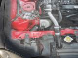 DSCN0520.jpg