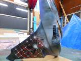 DSCN0628.jpg