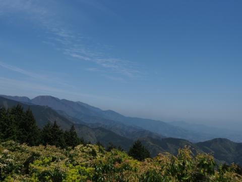 L4291564.jpg