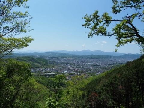 L5052288.jpg