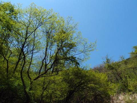 P4298113.jpg