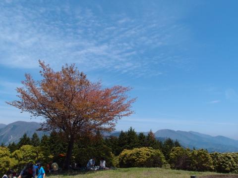 P4298130.jpg
