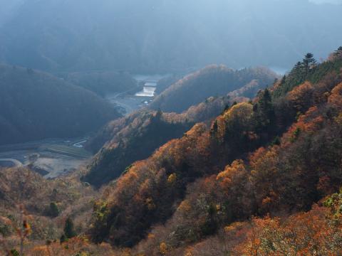 YC086430.jpg