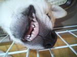 fc2blog_20120718204638563.jpg