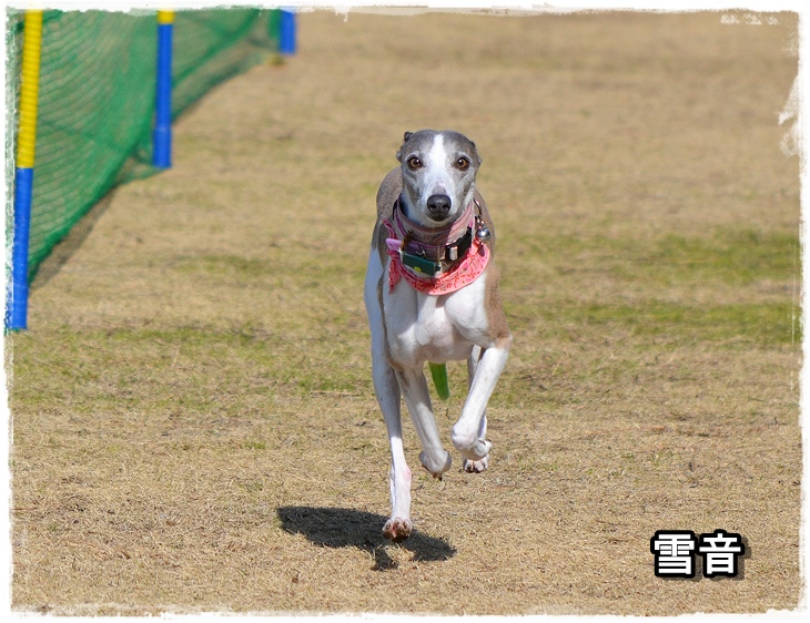 20140119-10.jpg