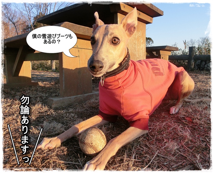 20140128-6.jpg
