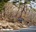 立石コース登山口