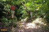 林道終点から二子山or南沢へ進む道