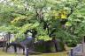 石割桜