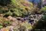 称名川一ノ谷木橋