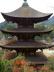 ④五重塔・檜皮葺の屋根