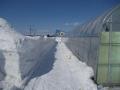 20120408_除雪後
