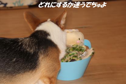 a_7399.jpg