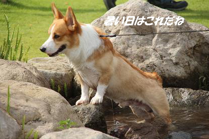 a_8191.jpg