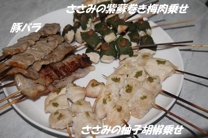 a_8220.jpg