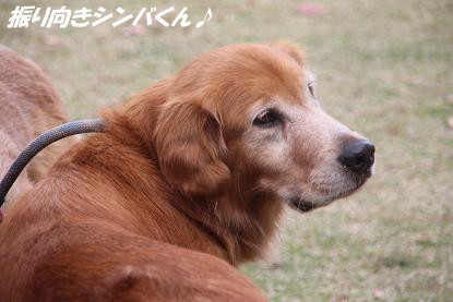 a_9520.jpg