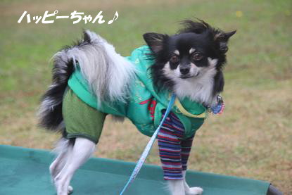 a_9868.jpg