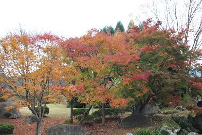 b_0539.jpg