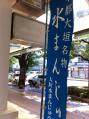 写真 (4)