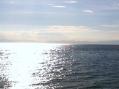 写真 (4)