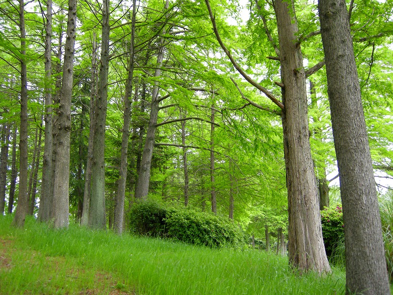 DSCN2168.jpg