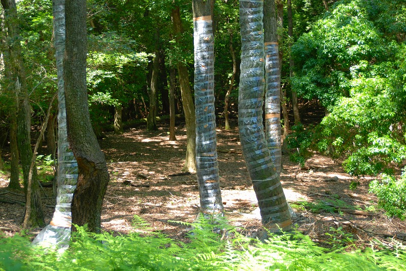 DSC_0857.jpg