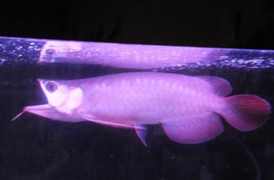 DSCF0480.jpg