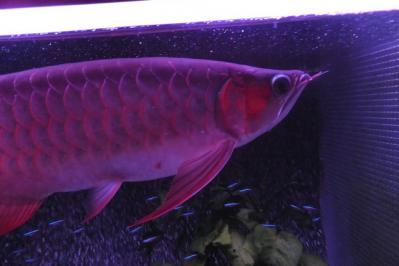 DSCF0497.jpg