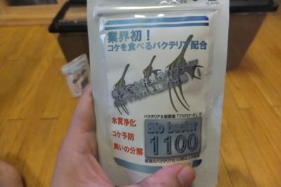 DSCF7299.jpg