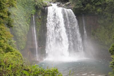 DSCF7333.jpg