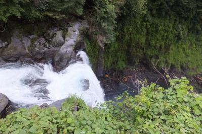 DSCF7343.jpg