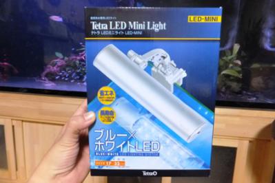DSCF7469.jpg