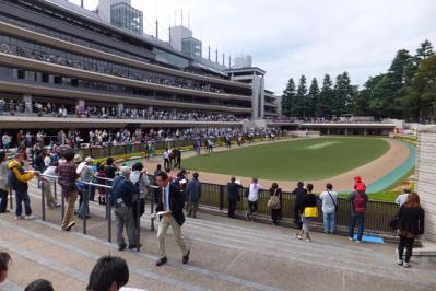 DSCF7490.jpg
