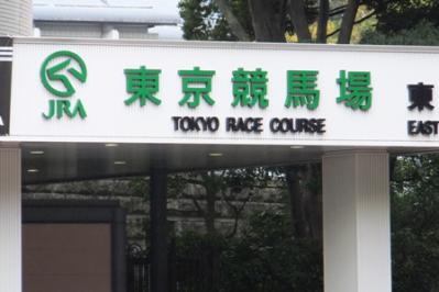 DSCF7503.jpg