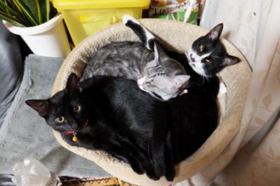 DSCF7528.jpg