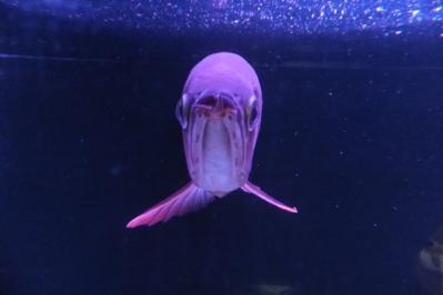 DSCF7562.jpg