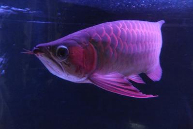 DSCF7563.jpg