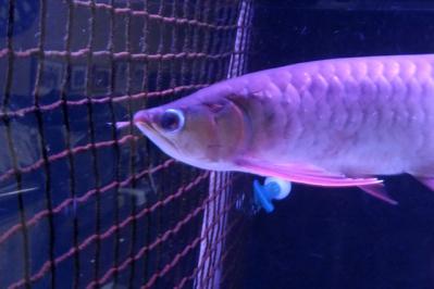 DSCF7574.jpg