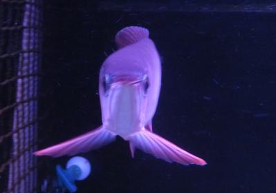 DSCF7577.jpg