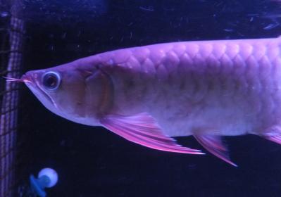 DSCF7578.jpg