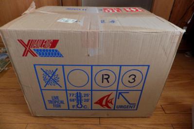 DSCF7755.jpg