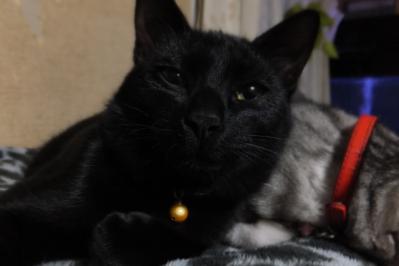 DSCF7829.jpg