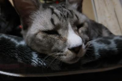 DSCF7830.jpg