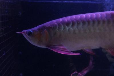 DSCF7935.jpg