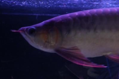 DSCF7946.jpg