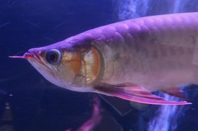 DSCF7947.jpg