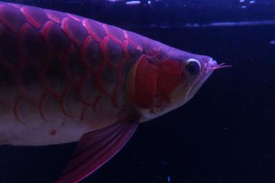 DSCF7958.jpg